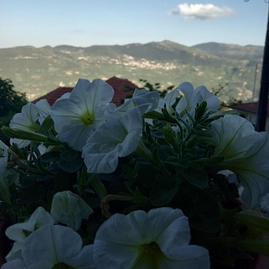Kato Sinikia Trikalon Filanthi 빌라 외부 사진
