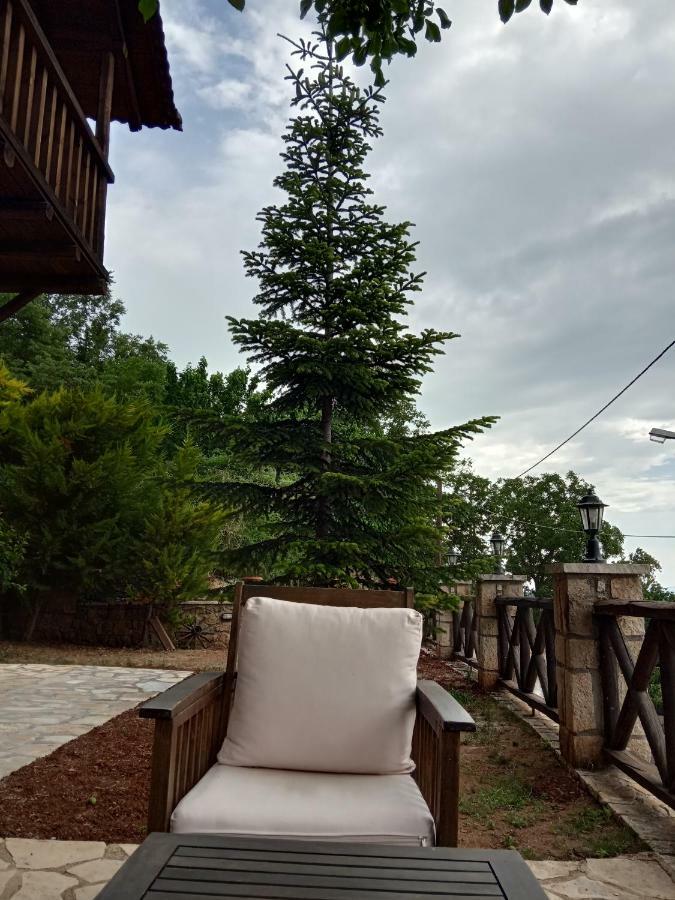 Kato Sinikia Trikalon Filanthi 빌라 외부 사진